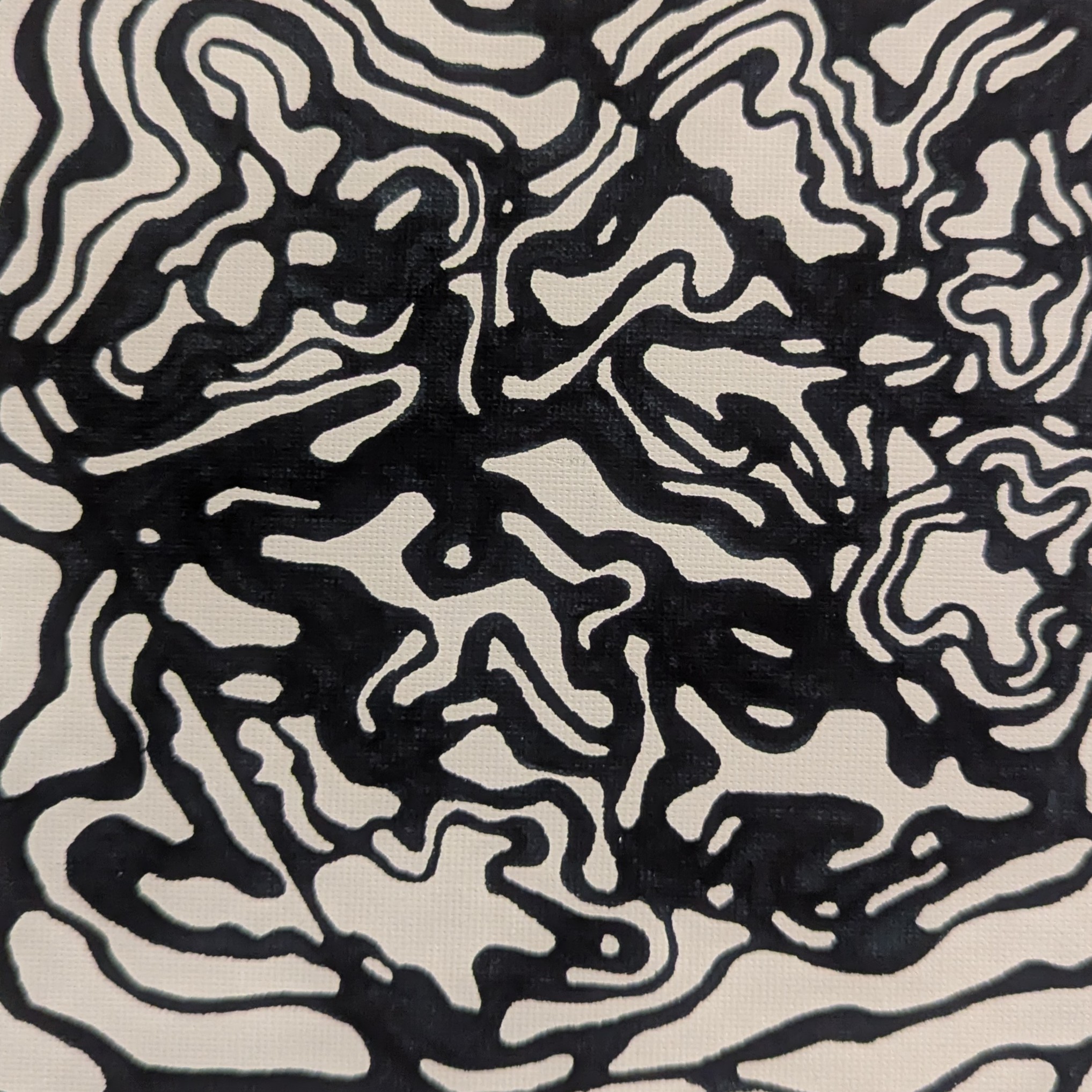 Spleen