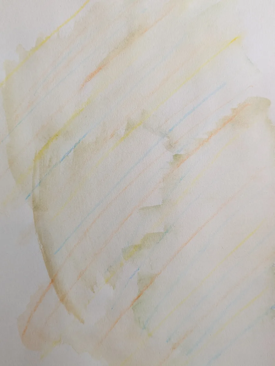 introportret 6