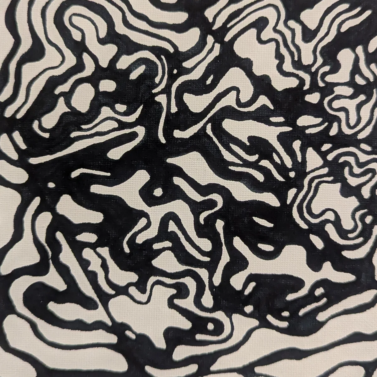 spleen