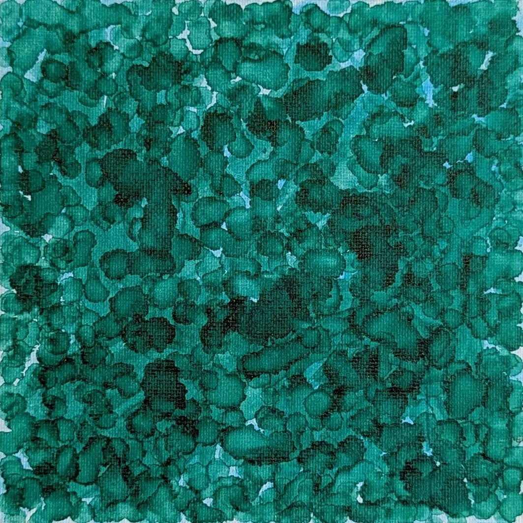 zgnilem